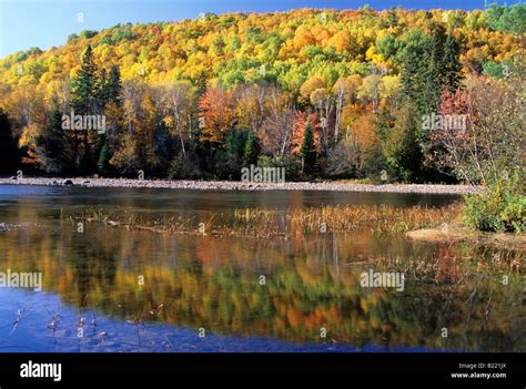 Autumn reflections in a pool on the Little White River, Ontario, Canada Stock Photo - Alamy