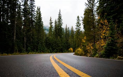 Gray and Yellow Road Between Forest · Free Stock Photo