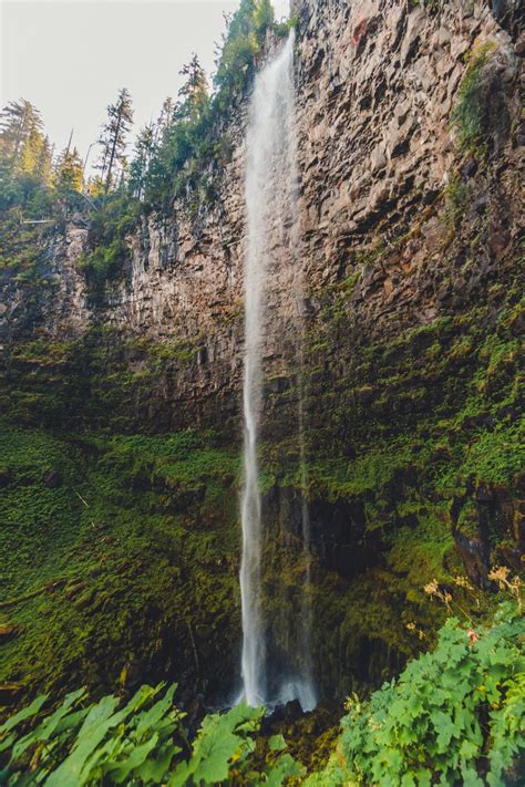 Best Waterfalls Hikes in Umpqua National Forest - The Luxury Lowdown