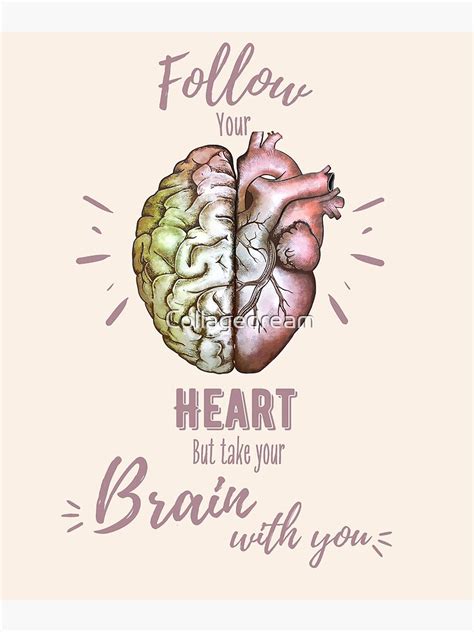 "Follow heart but take your brain with you, right balance between brain and heart, heart quote ...