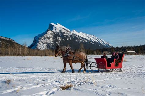 Pin on Banff Sleigh Rides