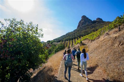 WINE HIKE - Malibu Wine Hikes Reservations