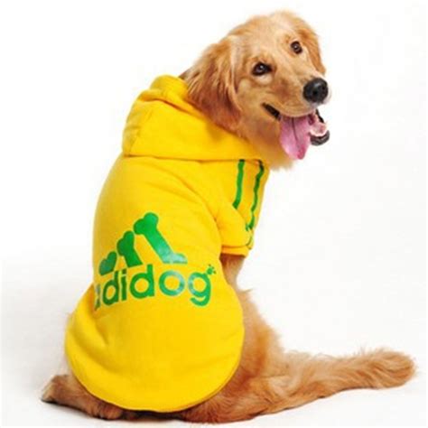 Funny Dog Sweaters for Your Pet | The Daily Dish