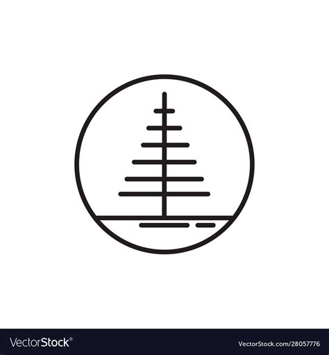 Pine tree plant line style Royalty Free Vector Image