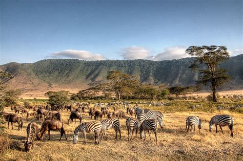 Cratere del Ngorongoro, Tanzania: guida ai luoghi da visitare - Lonely ...