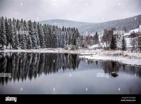 Lake Schluchsee black forest in winter Stock Photo - Alamy