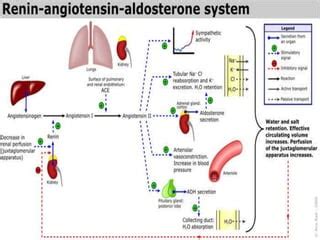 ARBs USE IN MANAGEMENT OF MYORCARDIAL INFARCTION