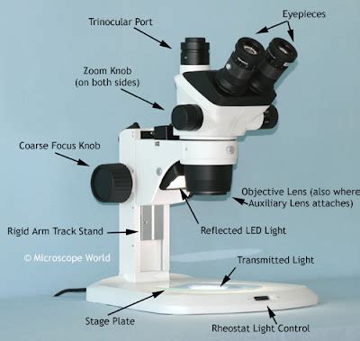 Microscope World Blog: Stereo Microscope Parts