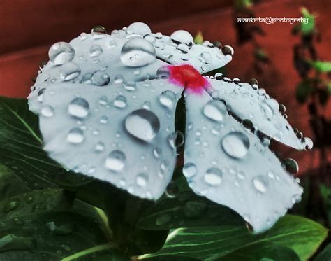 Droplets Photography on Behance