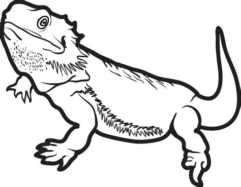 Lizard Drawing Outline at GetDrawings | Free download