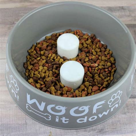 How To Make A DIY Slow Feeder Dog Bowl | House That Barks