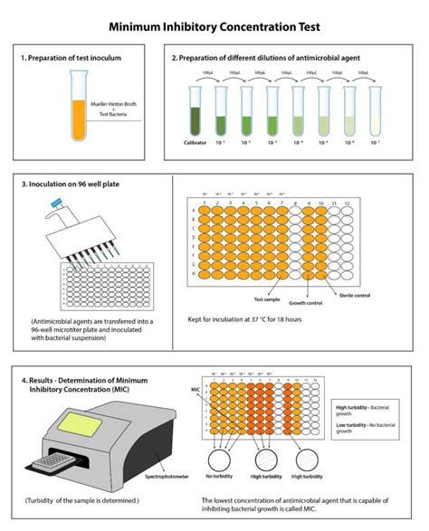 Minimum Inhibitory Concentration (MIC) Test