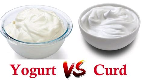 What is the Difference Between Curd & Yogurt? Health Benefits of Curd ...