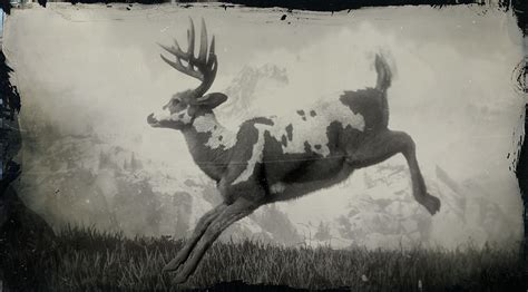 Legendary Buck | Red Dead Wiki | Fandom