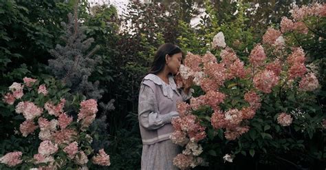 A Woman Smelling Flowers in the Garden Free Stock Video Footage ...