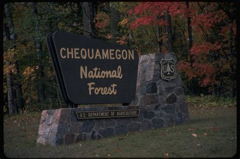 The Chequamegon-Nicolet National Forest covers 1.5 million acres in northern Wisconsin. There is ...