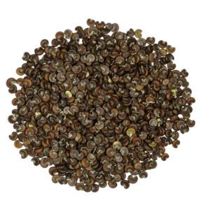 Althaea officinalis Seeds – NDG Botanicals