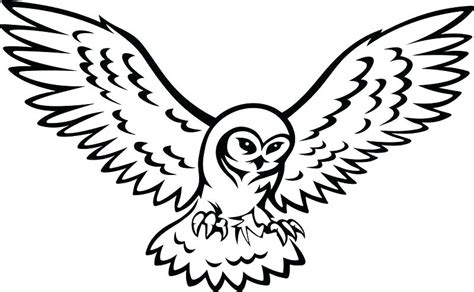 Snowy Owl Drawing | Free download on ClipArtMag