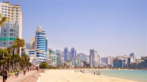 Gwangalli Beach in Busan | Expedia