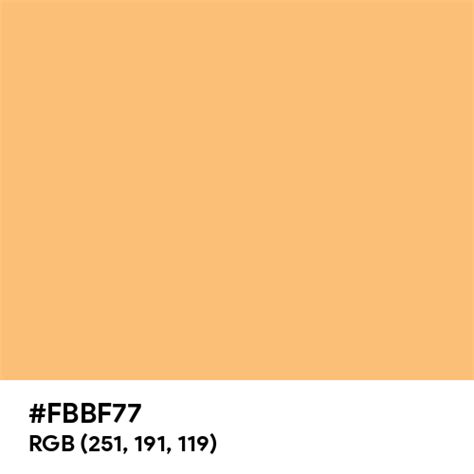 Light Orange color hex code is #FBBF77