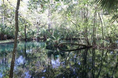 Silver Springs State Park Hiking Trails | Outdoor Project