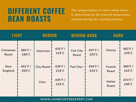 Ultimate Guide to Coffee Bean Roasts: Which One Is Best?