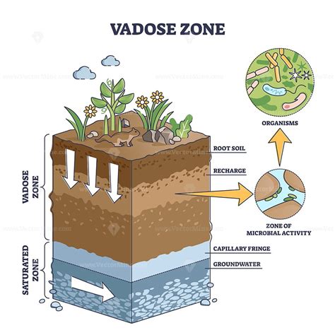 Vadose or unsaturated zone as geological earth layer division outline ...