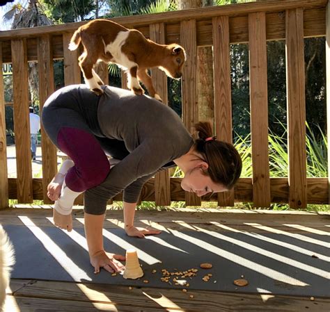 Where to do Goat Yoga in Central Florida