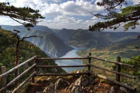 Tara National Park (Serbia) - Virily