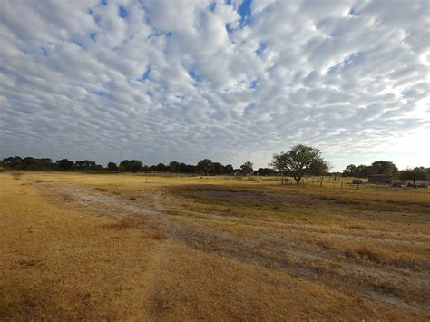 Exciting Mokoro Day Trip on the Okovango Delta | Botswana - Go Travel Your World