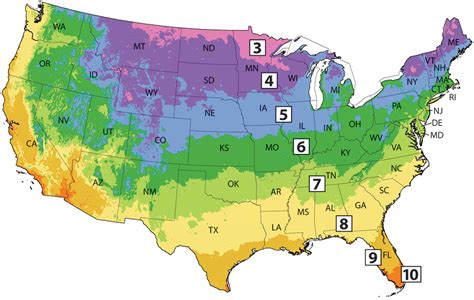 Michigan Hardiness Zone Map - Alayne Lisabeth