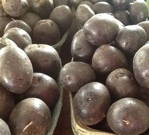 Black potatoes - I so want to grow these! | Black potatoes, Potatoes, Blueberry