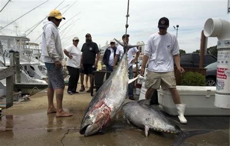 Home - Virginia Beach Fishing Center Ltd. VA Fishing Charter Marina