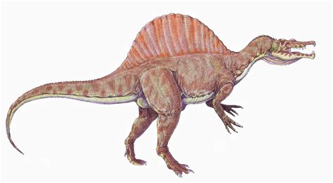 Spinosaurus: the first aquatic dinosaur? | All you need is Biology