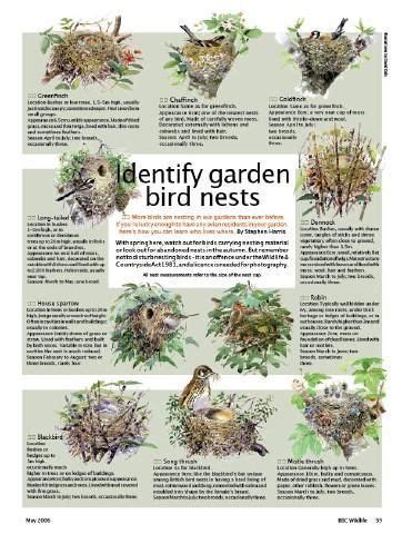 How to identify garden bird nests by Discover W... | Bird garden, Backyard birds, Bird nest