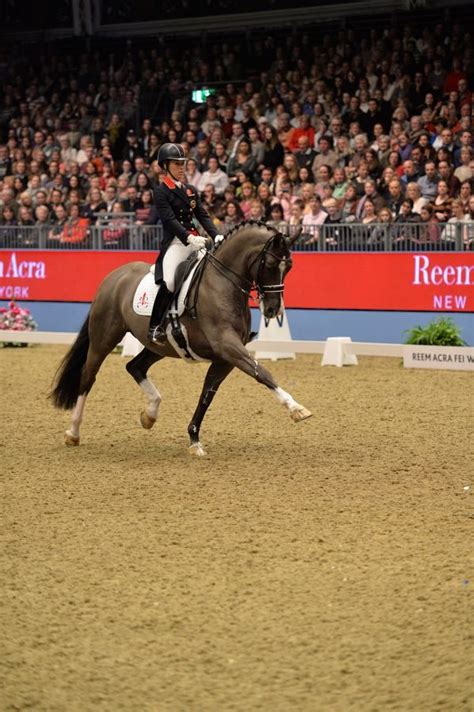 Valegro! | Dressage horses, Equestrian dressage, Horse life