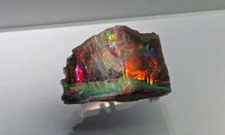 Precious opal (Nevada, USA) | Precious opal ("black opal") f… | Flickr