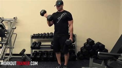 Workout 101- Bicep Curls - YouTube