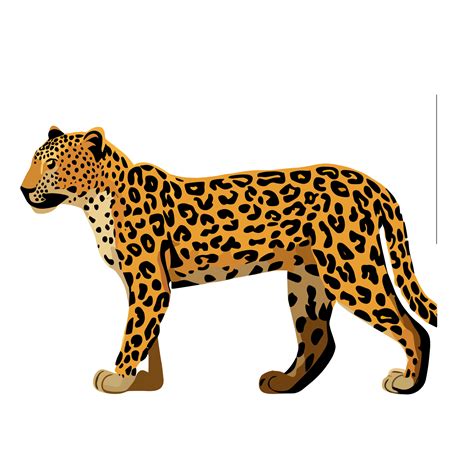 Leopard Clip Art transparent Hintergrund 24043951 PNG