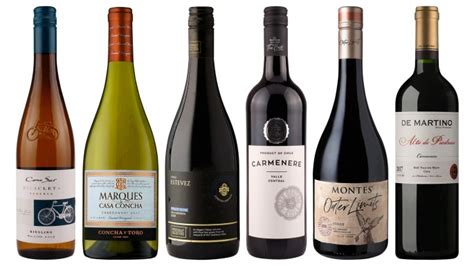 The best Chilean wines to try now | The Sunday Times Magazine | The Sunday Times