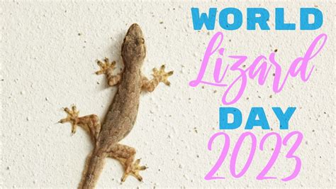 World Lizard Day 2023: History, Significance, and 5 Common ...