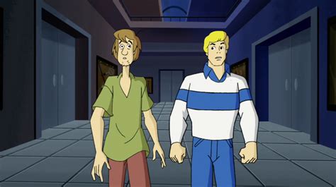 Shaggy Rogers and Fred Jones | Scoobypedia | Fandom