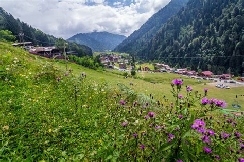 Landscape View of Ayder Plateau in Rize,Turkey Stock Image - Image of ...