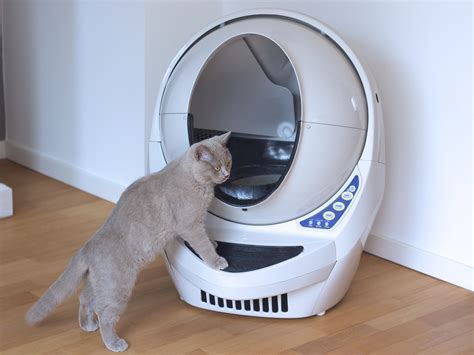 Best Self-Cleaning Litter Box for Cats | Litter box, Cat training, Self cleaning litter box