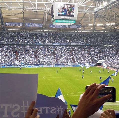 FC Schalke 04 on Twitter: "So haben die #S04-Fans #stehtauf erlebt ...