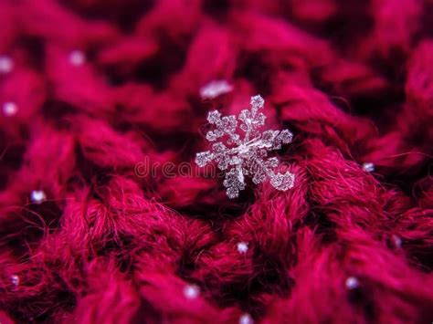 Snowflake Beautiful on the Red Winter Background Stock Image - Image of texture, frozen: 170020709