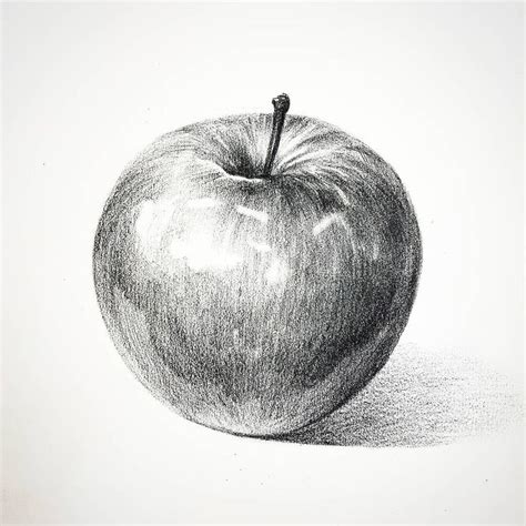 Apple pencil drawing 사과 소묘 :) 어제 저녁부터 선선한 날씨😊 #미술학원 #소묘 #드로잉 #일러스트 #그림 #그림스타그램 #일상 #사과 #artwork ...