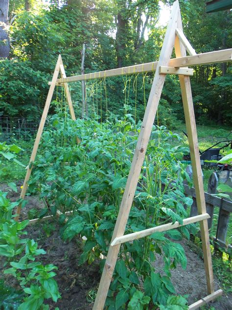 heargrassgrow.com: tomato trellis