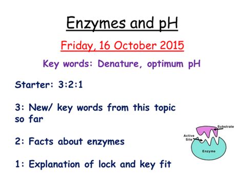 Enzymes and pH | Teaching Resources