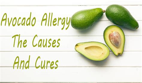 Avocado Allergy - the causes and cures